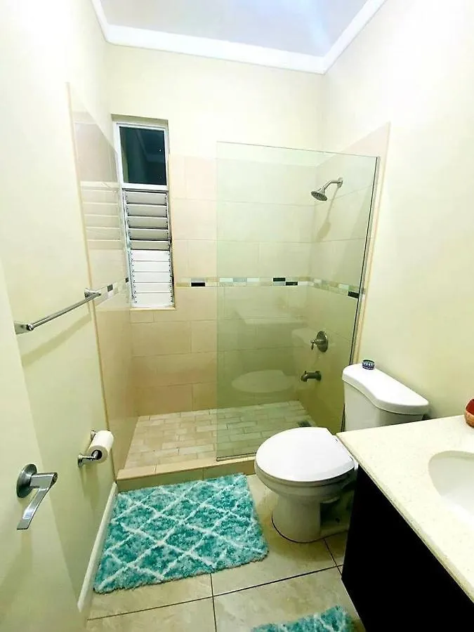 Urban Elegance Apartment Kingston