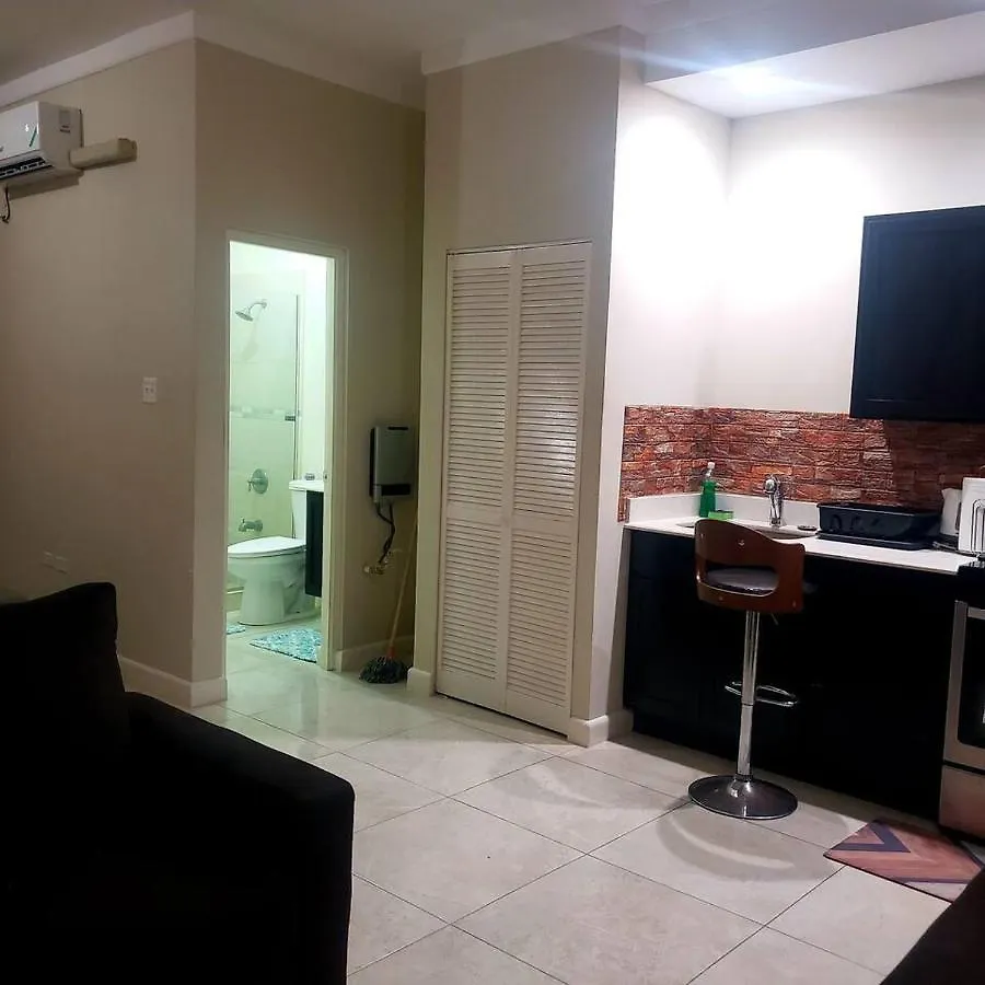 Urban Elegance Apartment Kingston